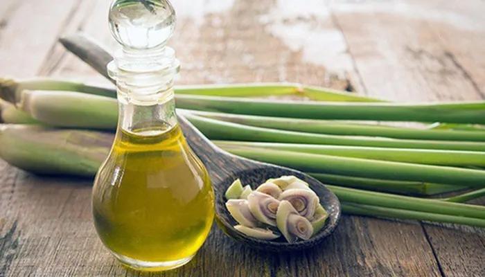 Hướng dẫn làm tinh dầu đuổi muỗi đơn giản tại nhà