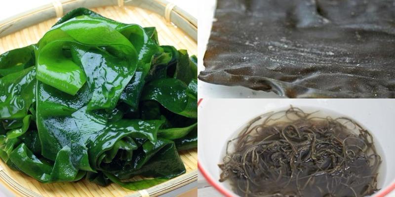 Phổ tai là gì? Khám phá giá trị dinh dưỡng và những món ăn hấp dẫn từ phổ tai