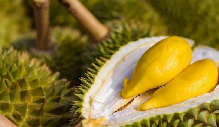 Sầu riêng chưa chín khi cắt ra? Khám phá ngay 7 phương pháp giúp quả sầu riêng chín nhanh và hiệu quả