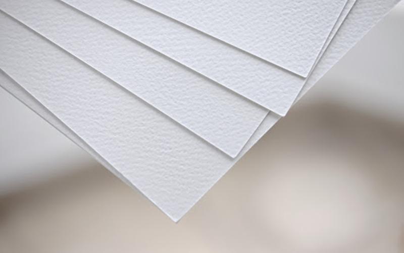 Việc sử dụng giấy vụn trong vườn sẽ mang lại nhiều lợi ích bất ngờ mà bạn chưa từng nghĩ đến.