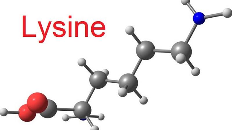 Lysine là một axit amin thiết yếu đối với cơ thể, không chỉ giúp tăng trưởng chiều cao ở trẻ em mà còn hỗ trợ ngăn ngừa loãng xương ở người lớn tuổi. Cùng khám phá những lợi ích tuyệt vời của lysine và cách bổ sung hiệu quả qua chế độ ăn uống hàng ngày.