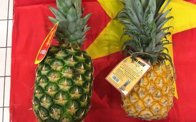 Khám phá một giống dứa mới lạ, với thịt quả trong suốt, ngọt ngào, mật vàng óng ánh, ăn vào không hề có vị chua cay khó chịu.