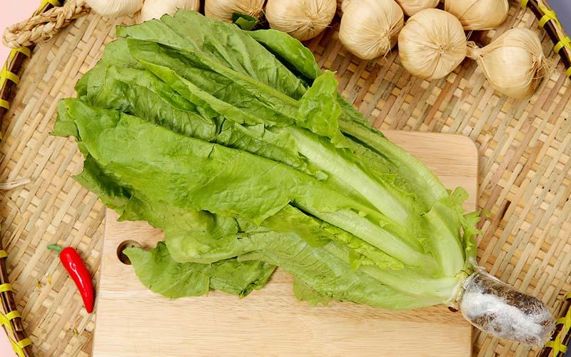 Xà lách Romaine là một loại rau nổi bật với vẻ ngoài tươi mát, giòn rụm và là nguyên liệu phổ biến trong các món salad. Loại rau này không chỉ có hương vị đặc biệt mà còn mang lại nhiều lợi ích sức khỏe tuyệt vời.