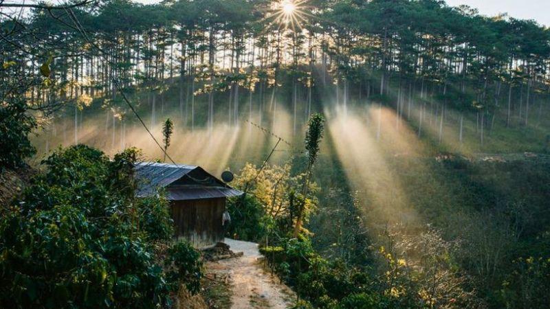 Khám phá ngay 8 điểm du lịch không thể bỏ qua tại Đơn Dương (Lâm Đồng)