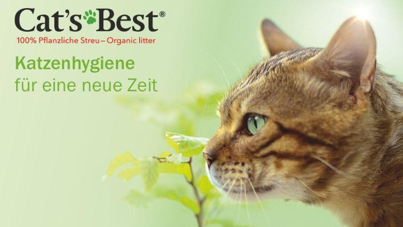 Khám phá 4 loại cát vệ sinh cho mèo Cat's Best với khả năng kháng khuẩn và khử mùi hiệu quả, mang đến không gian sạch sẽ, an toàn cho thú cưng của bạn.