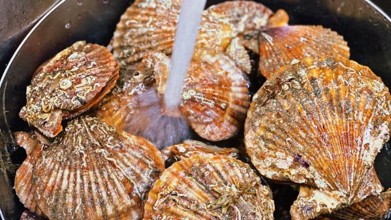 Khám phá bí quyết hấp sò điệp hoàn hảo, mang đến hương vị tươi ngon, không chút mùi tanh