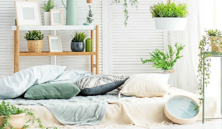 Dù có đẹp đến đâu, một số loại cây cảnh tuyệt vời cũng không nên xuất hiện trong phòng ngủ của bạn.