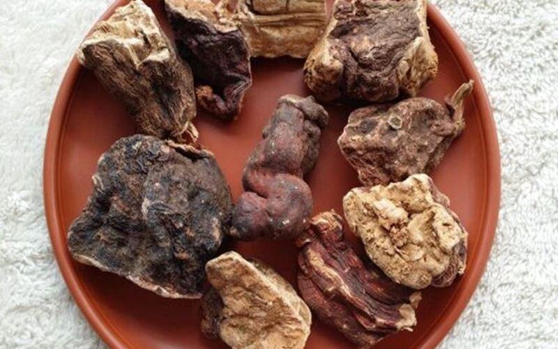 Có thật uống nước hà thủ ô giúp tóc trở lại màu đen tự nhiên?