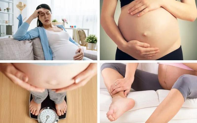 Hành trình phát triển tuyệt vời của thai nhi và mẹ bầu ở tuần thứ 20
