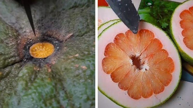 Khám phá cách kiểm tra số múi bưởi mà không cần phải cắt quả