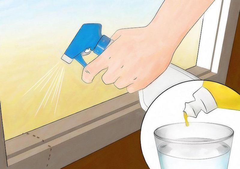 Khám phá bí quyết diệt kiến hiệu quả mà vẫn bảo vệ sức khỏe
