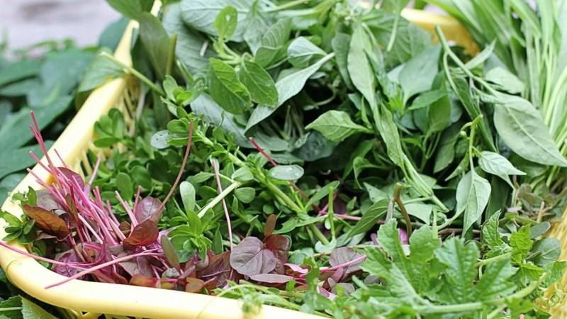 Canh rau tập tàng mang đến sự tươi mát và dễ chịu, là lựa chọn không thể thiếu trong những ngày hè oi ả.