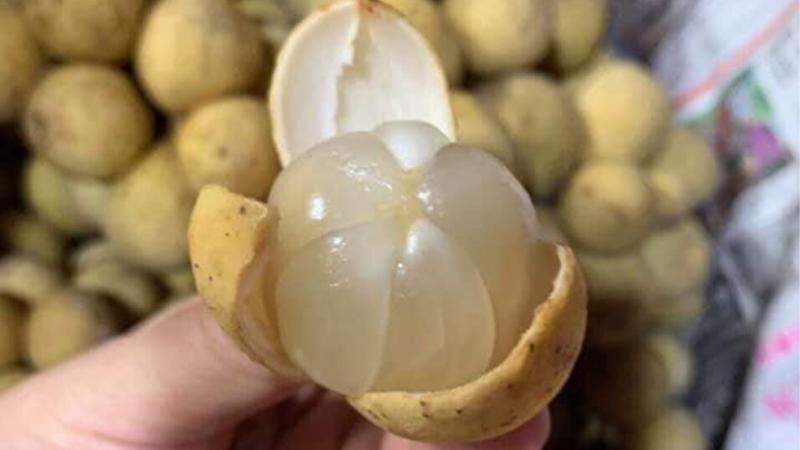 8 bí quyết bóc vỏ bòn bon sạch sẽ, không lo mủ dính tay và cách chọn quả ngon tuyệt