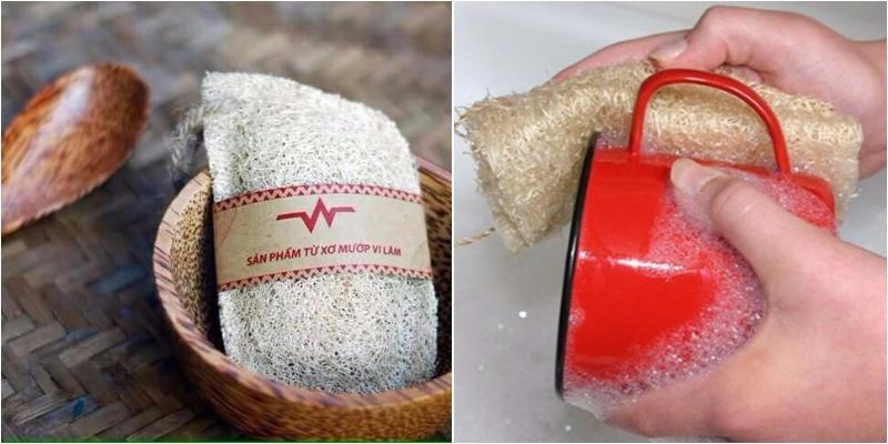 Những công dụng tuyệt vời của xơ mướp mà bạn có thể chưa từng biết