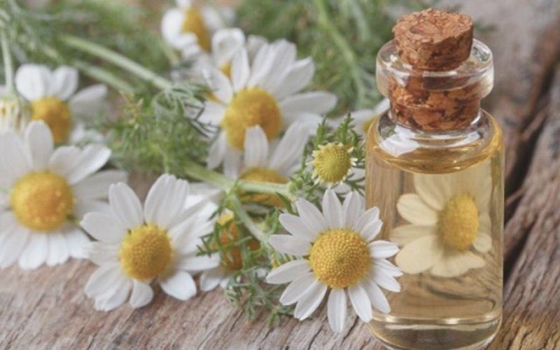 Khám phá 11 hoạt chất dưỡng trắng da hiệu quả và an toàn