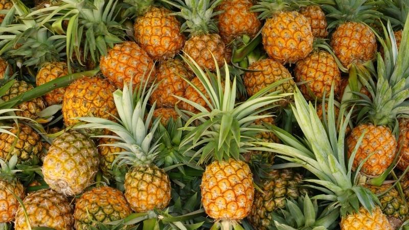 Bí quyết chọn dứa tươi ngon, ngọt lịm dễ dàng