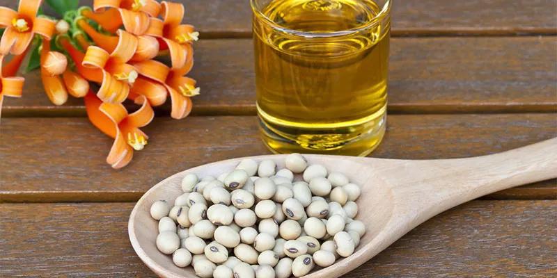 Dầu đậu nành có thực sự tốt cho sức khỏe không?