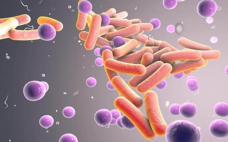 Enzyme Amylase là gì và có vai trò quan trọng như thế nào đối với hệ tiêu hóa của cơ thể? Hãy cùng khám phá.