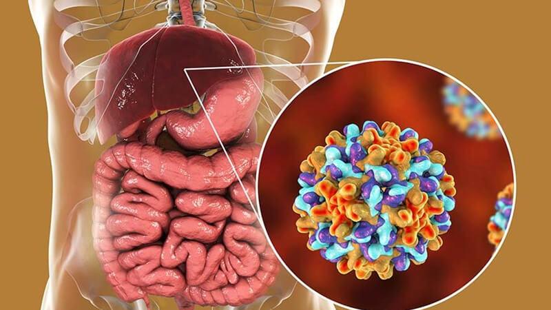 Viêm gan B là một bệnh lý nguy hiểm, tác động nghiêm trọng đến gan nếu không được điều trị đúng cách. Cùng tìm hiểu về bệnh viêm gan B và những lưu ý về chế độ dinh dưỡng khi mắc phải căn bệnh này.