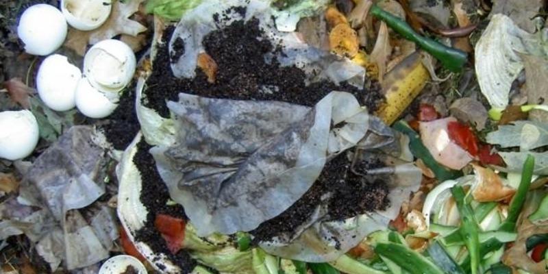 7 lợi ích không ngờ của bã trà túi lọc trong việc làm vườn