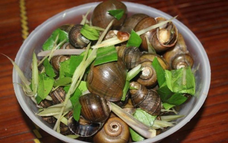 Khám phá 6 quán ăn đêm nổi tiếng tại quận Tây Hồ, khiến bạn quên lối về với hương vị đặc sắc.