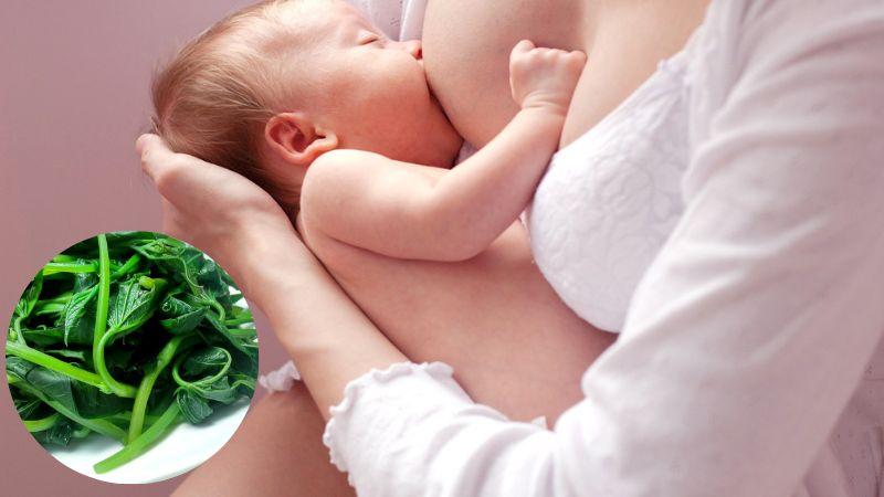 Rau lang có thực sự tốt cho mẹ sau sinh? Những lưu ý quan trọng khi mẹ bầu ăn rau lang