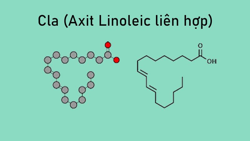 Axit Linoleic liên hợp (CLA) là gì? Liệu việc sử dụng CLA có thực sự hỗ trợ quá trình giảm cân?
