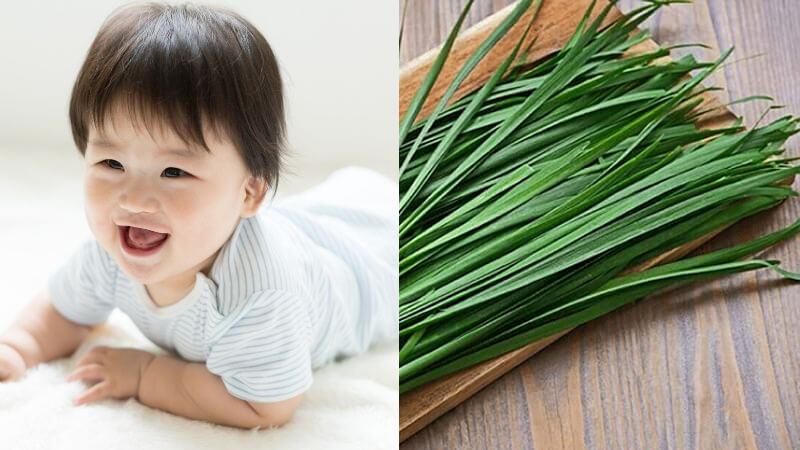 Mẹo giúp bé mọc răng mà không lo bị sốt nhờ vào lá hẹ