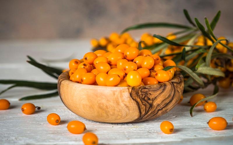 Hắc mai biển (Sea Buckthorn) - chìa khóa vàng để làn da luôn tươi trẻ