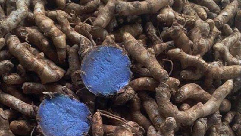 Nghệ đen có những công dụng tuyệt vời gì đối với sức khỏe của phụ nữ sau sinh? Hãy cùng tìm hiểu ngay tác dụng của nghệ đen đối với mẹ sau sinh.
