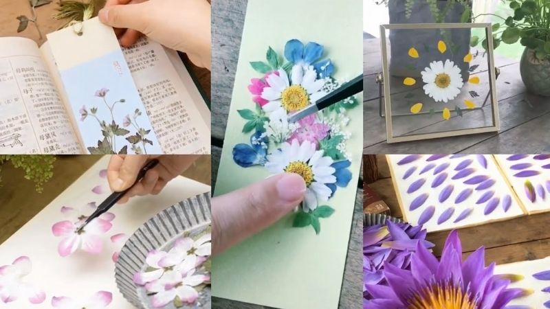 Khám phá cách tạo ra những bông hoa ép khô tuyệt đẹp, dùng để làm sổ tay hay thiệp tinh tế và độc đáo.