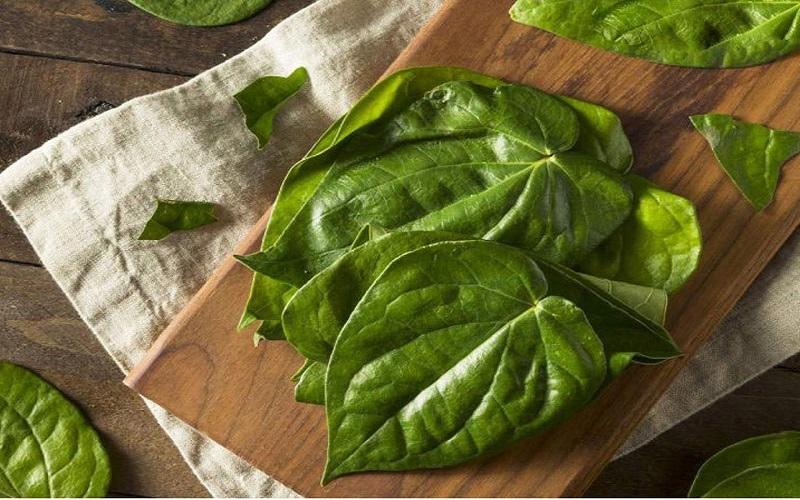 7 bí quyết dân gian giúp bế con từ bệnh viện về nhà dễ nuôi, phát triển nhanh chóng