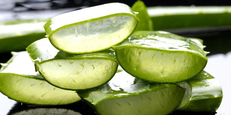 Tác dụng chữa bệnh từ nha đam