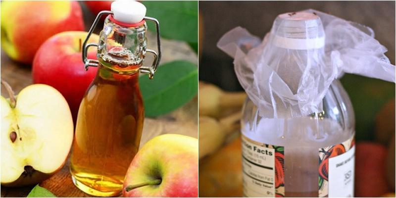 Các cách đơn giản để loại bỏ ruồi giấm trong bếp