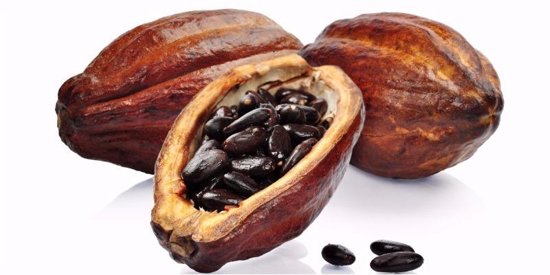 Liệu uống ca cao có gây nóng trong người không?