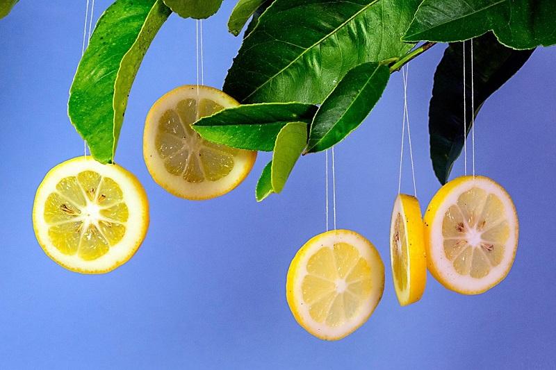 Khám phá những lợi ích tuyệt vời của chanh đối với làn da trong hành trình chăm sóc sắc đẹp.
