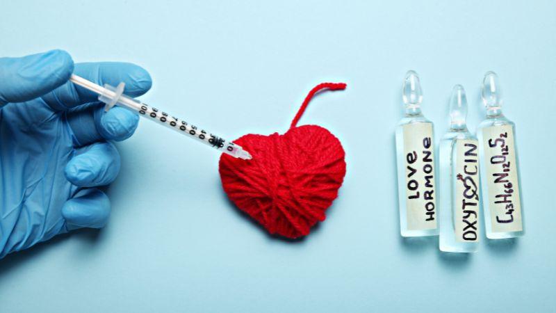Oxytocin là hormone mang lại nhiều lợi ích tuyệt vời cho cơ thể, đặc biệt là đối với phụ nữ mang thai. Cùng tìm hiểu về vai trò và tác dụng của Oxytocin đối với sức khỏe con người.