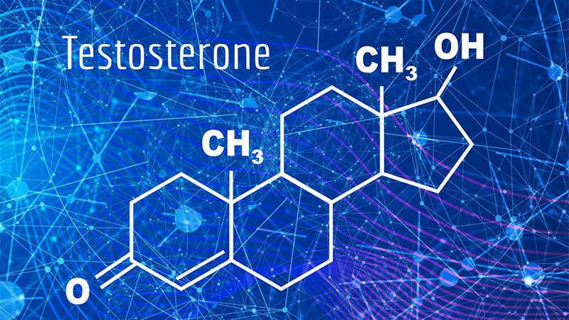 Testosterone là hormone then chốt đối với nam giới, đóng vai trò quan trọng trong việc duy trì sức khỏe thể chất và sinh lý của họ.