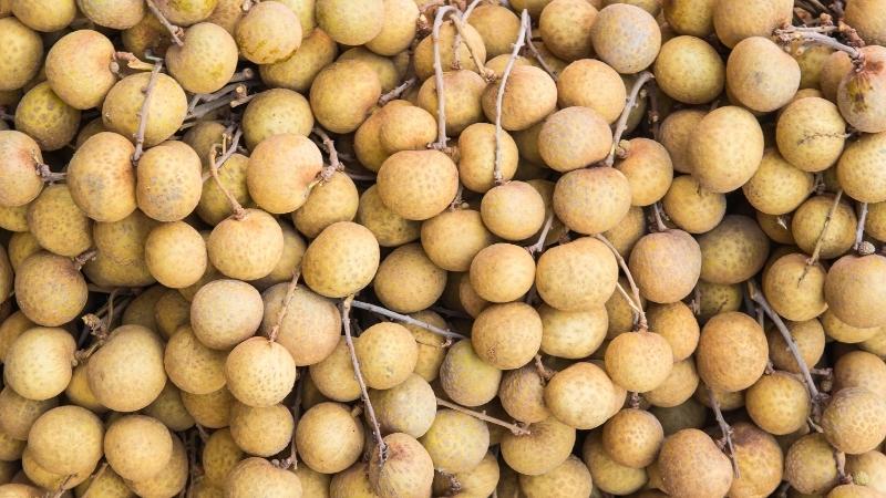 Mẹ bầu có thể ăn nhãn không? Liệu nhãn nhục có phải lựa chọn an toàn cho mẹ bầu?