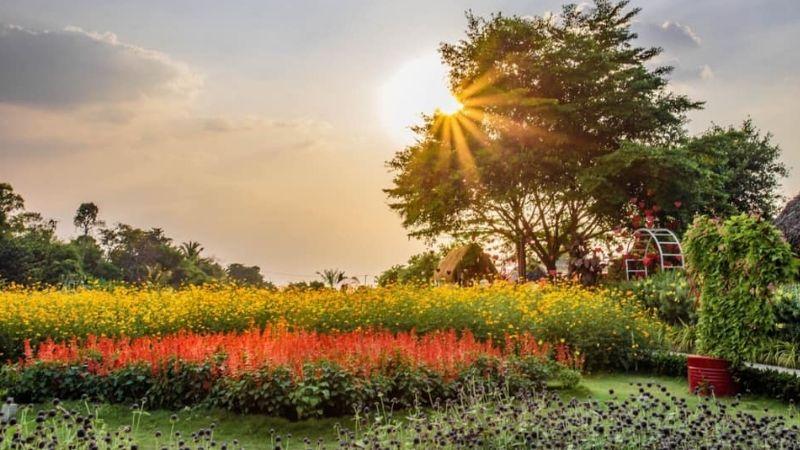 Khám phá 10 cánh đồng hoa tuyệt đẹp tại Việt Nam, nơi mà giới trẻ không thể cưỡng lại sức hấp dẫn để tạo nên những bức ảnh sống ảo ấn tượng.