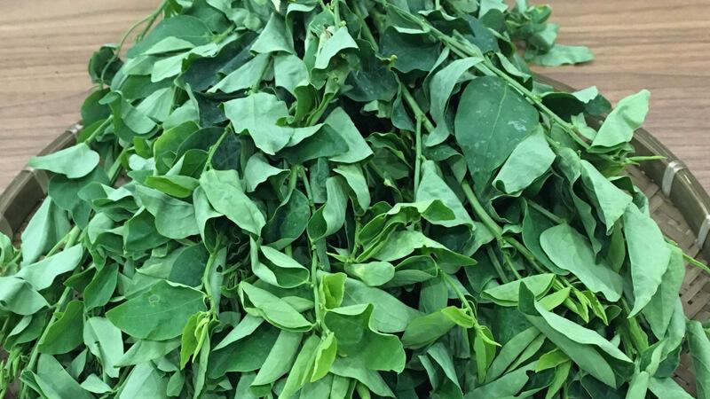 Chỉ với một bó rau ngót 5.000 đồng, bạn có thể xóa tan nám da hiệu quả không ngờ.
