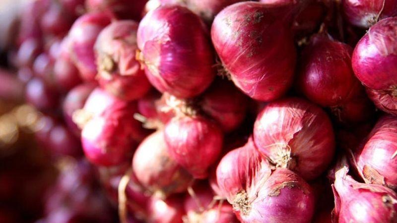 Sự khác biệt giữa hành tím Việt Nam và Trung Quốc