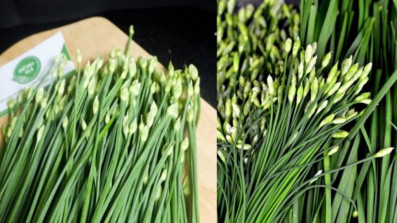 Bông hẹ (hay bông hành) là gì? Những lợi ích khi ăn bông hẹ là gì?