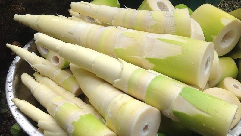 Mang thai ăn măng có an toàn không? Những lưu ý quan trọng khi bà bầu ăn măng