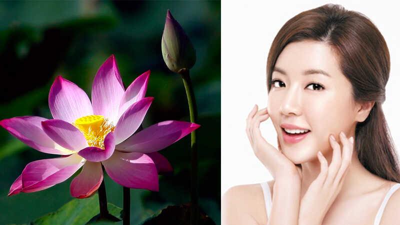 Bí quyết dưỡng da sáng mịn, hồng hào và sạch mụn từ hoa sen