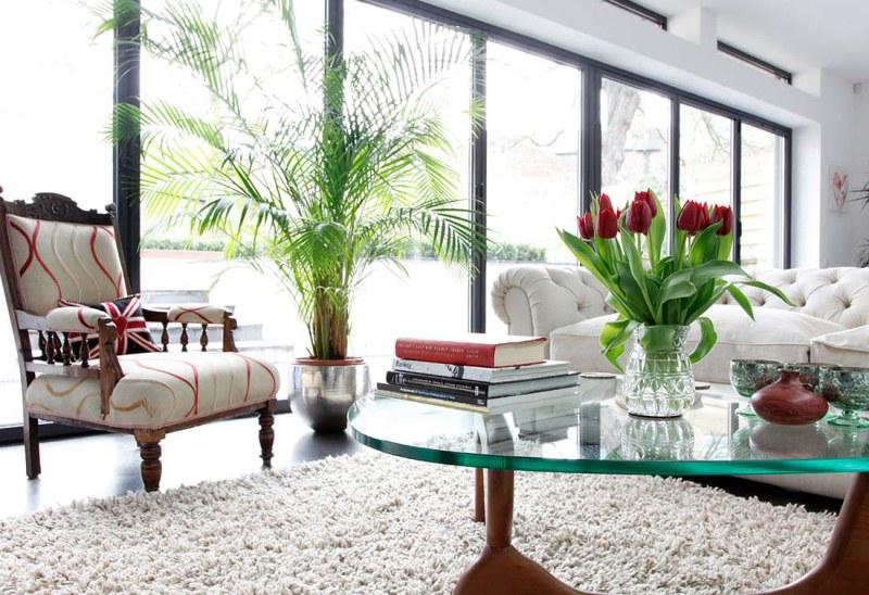 Việc đặt cây xanh ở những vị trí thích hợp trong nhà không chỉ giúp cây phát triển mạnh mẽ mà còn mang đến vận may và tài lộc cho gia chủ, giúp công việc thuận lợi và suôn sẻ hơn.