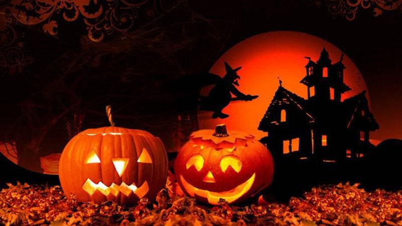 Bạn đã bao giờ tự hỏi quả bí ngô trong lễ hội Halloween có ý nghĩa gì chưa? Hình ảnh này không chỉ là một phần trang trí, mà còn ẩn chứa những câu chuyện và biểu tượng sâu sắc mà ít người biết đến. Cùng khám phá ngay nhé!