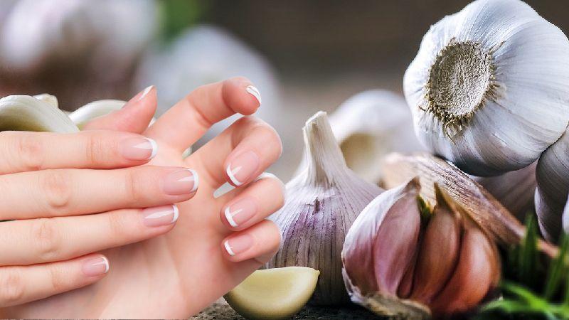 Khám phá mẹo dưỡng móng tay dài và chắc khỏe từ tỏi ngay tại nhà