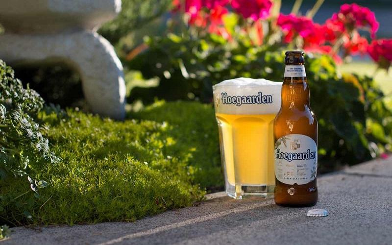 Hoegaarden - Dòng bia trắng nổi tiếng từ Bỉ, làm say đắm lòng người Việt