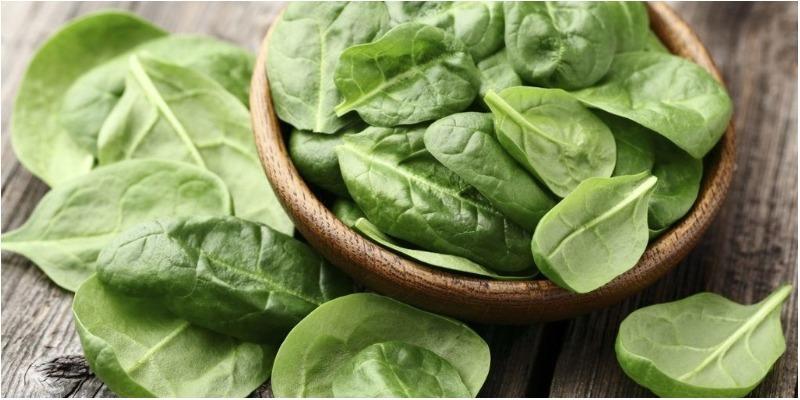 Mồng tơi: Món quà dinh dưỡng tuyệt vời cho bé trong giai đoạn ăn dặm